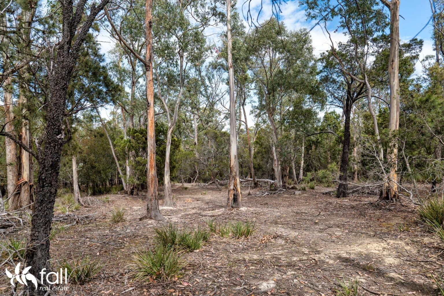 954 Killora Road, NORTH BRUNY TAS 7150, North Bruny - Thumbnail 5