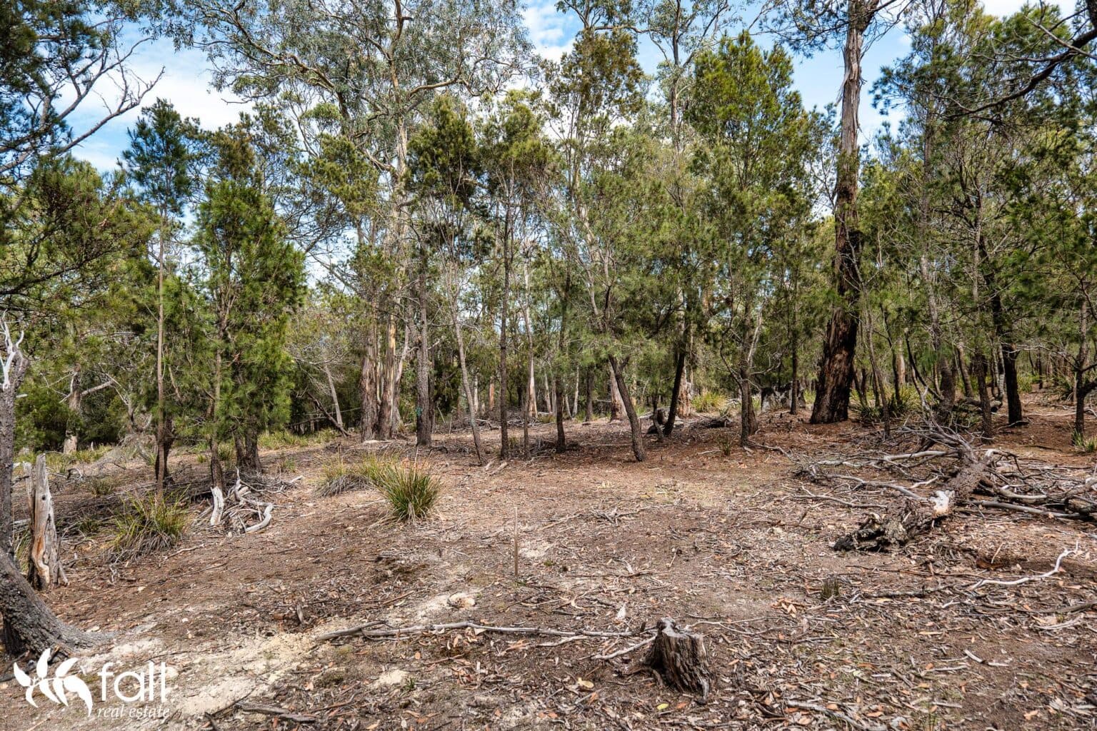 954 Killora Road, NORTH BRUNY TAS 7150, North Bruny - Thumbnail 6