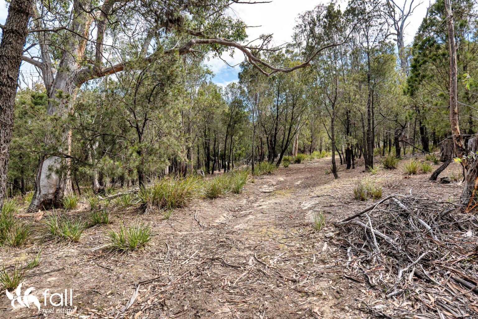 954 Killora Road, NORTH BRUNY TAS 7150, North Bruny - Thumbnail 7