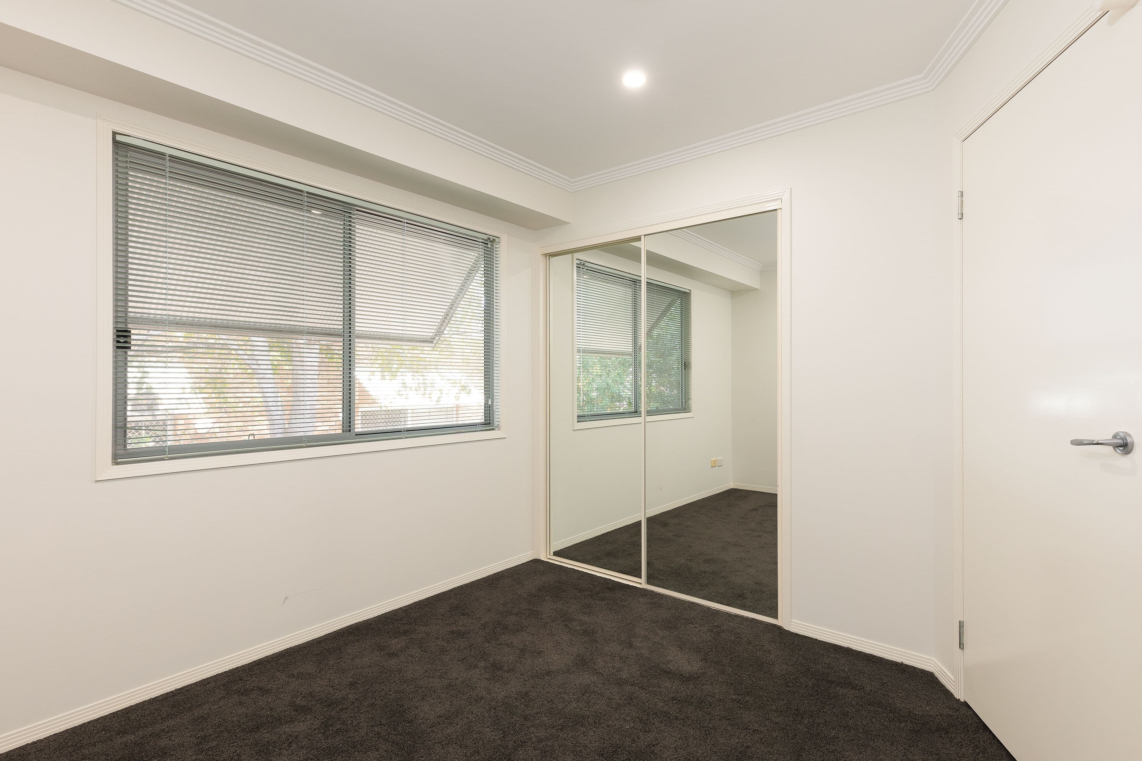 12 Elwell Street, Morningside QLD 4170, Morningside - Thumbnail 7