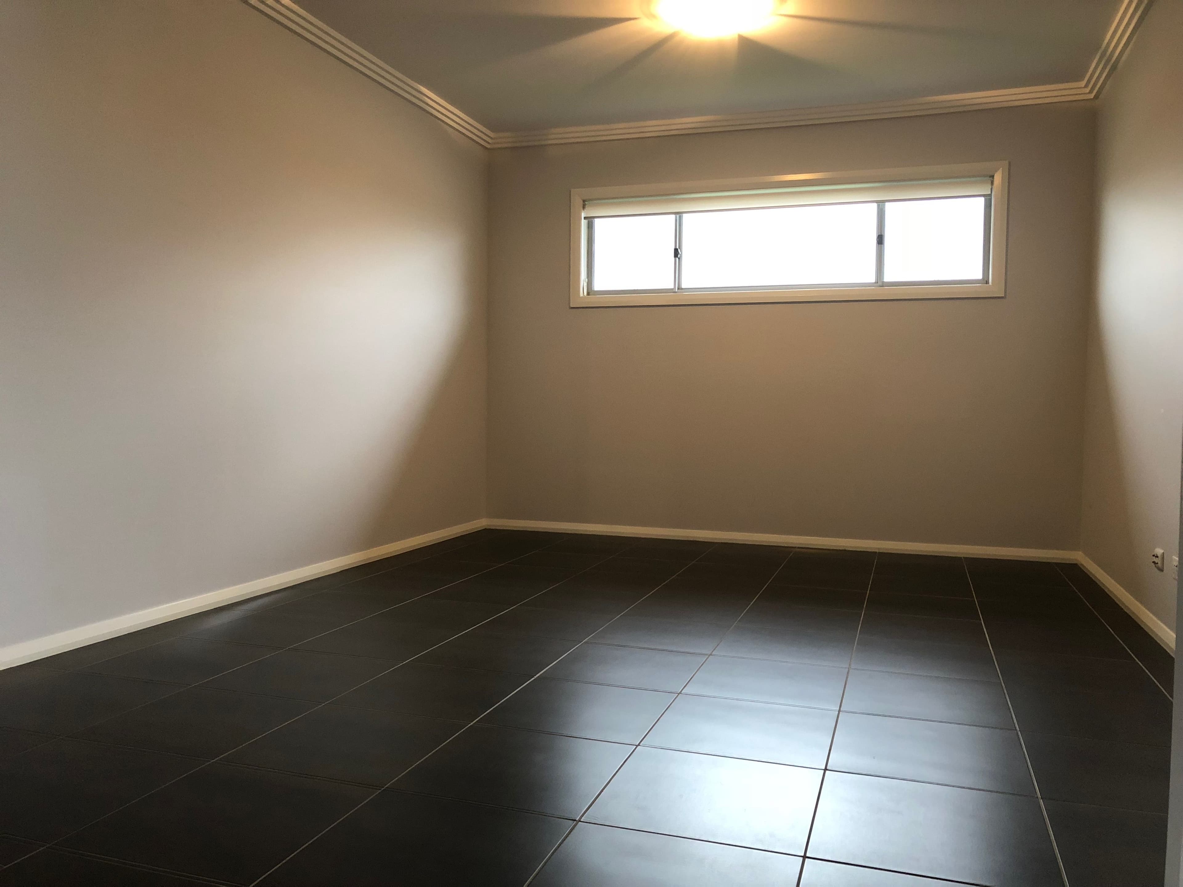 6 Mcgovern Street, Spring Farm - Thumbnail 8