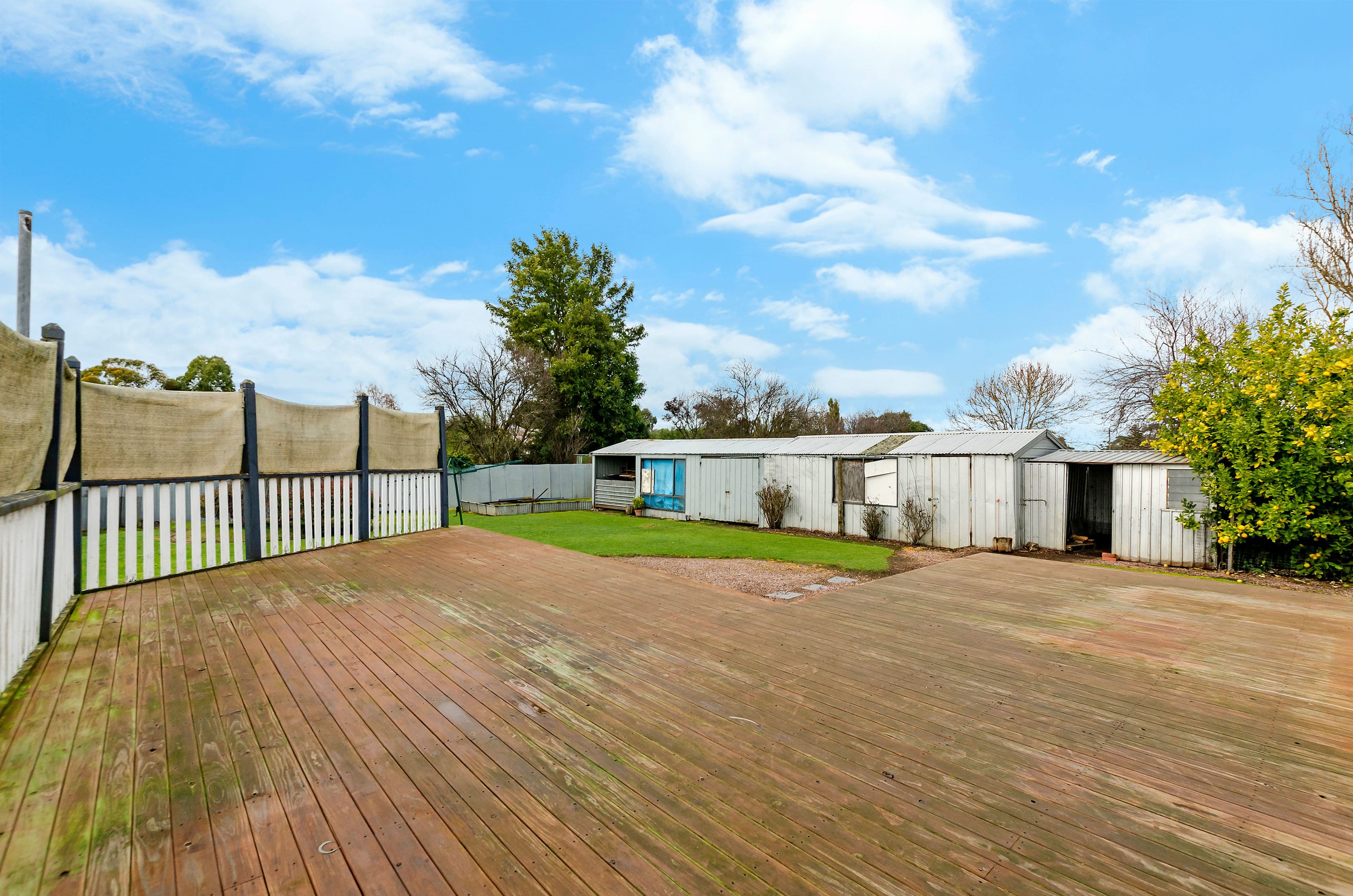 37 McKinnon Street, Terang VIC 3264, Terang - Thumbnail 8