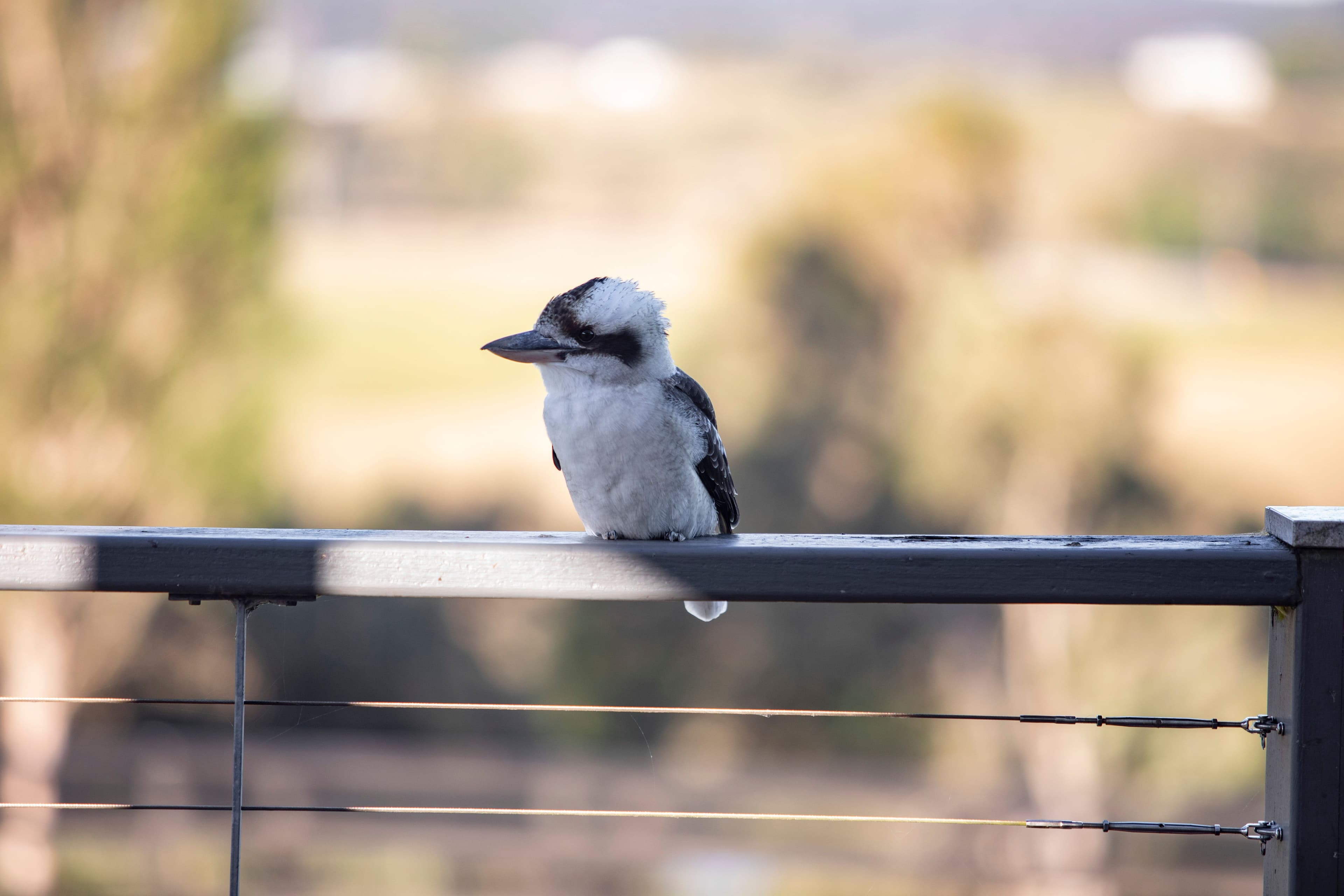 176 Woodrow Road, Stanmore QLD 4514, Stanmore - Thumbnail 2