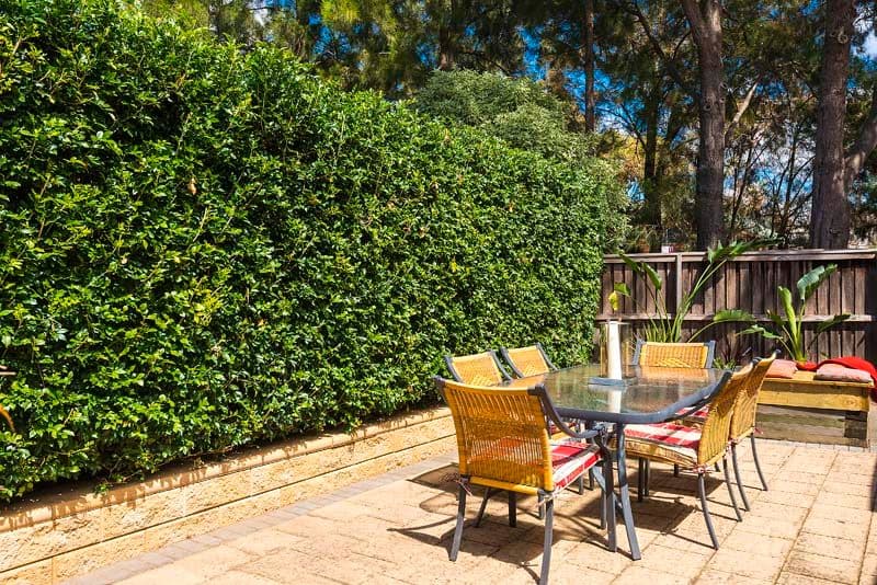 18 Crabbes Avenue, WILLOUGHBY NSW 2068, North Willoughby - Thumbnail 5