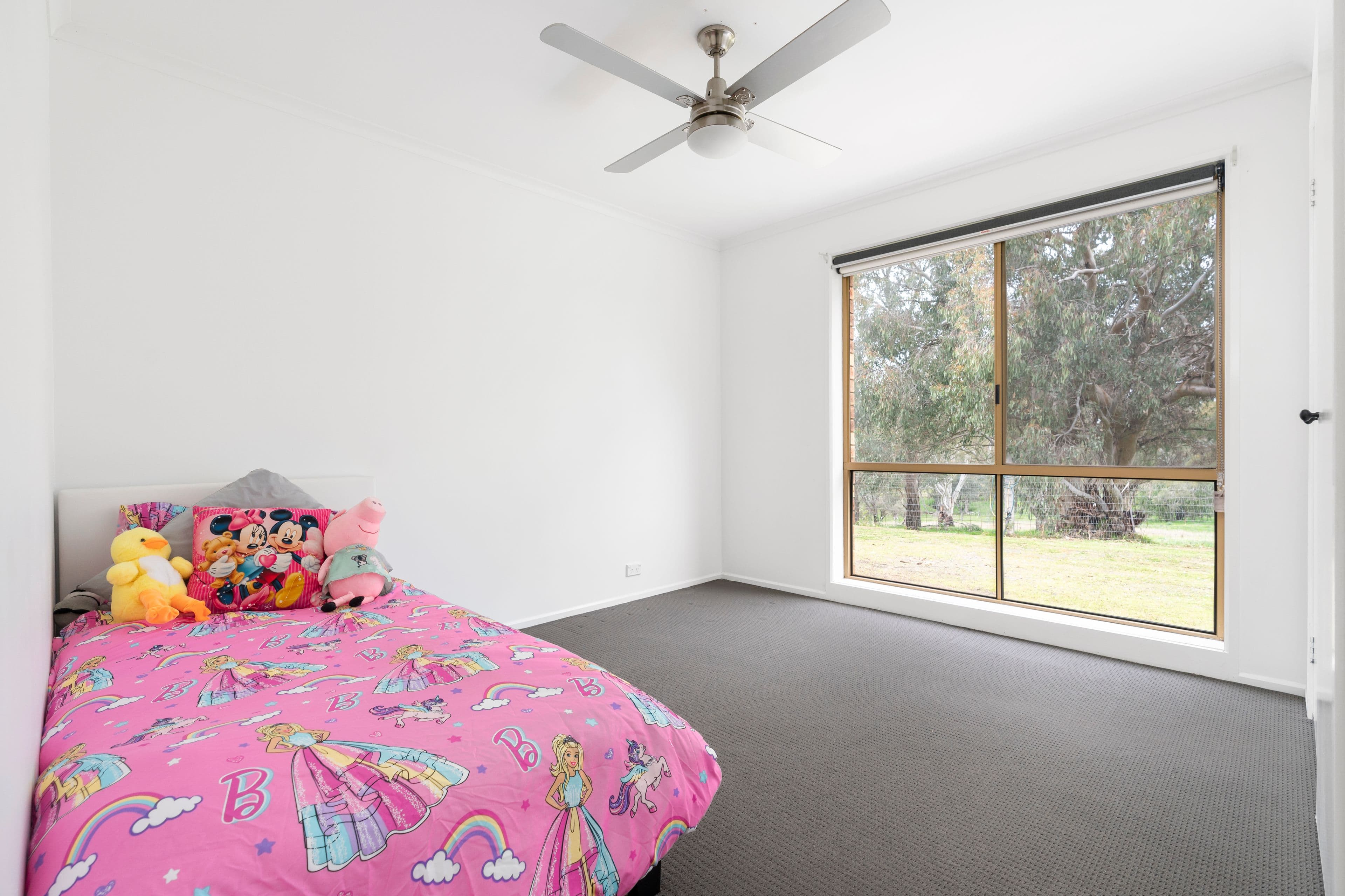 157 Walla Cemetery Road, Walla Walla NSW 2659, Walla Walla - Thumbnail 7