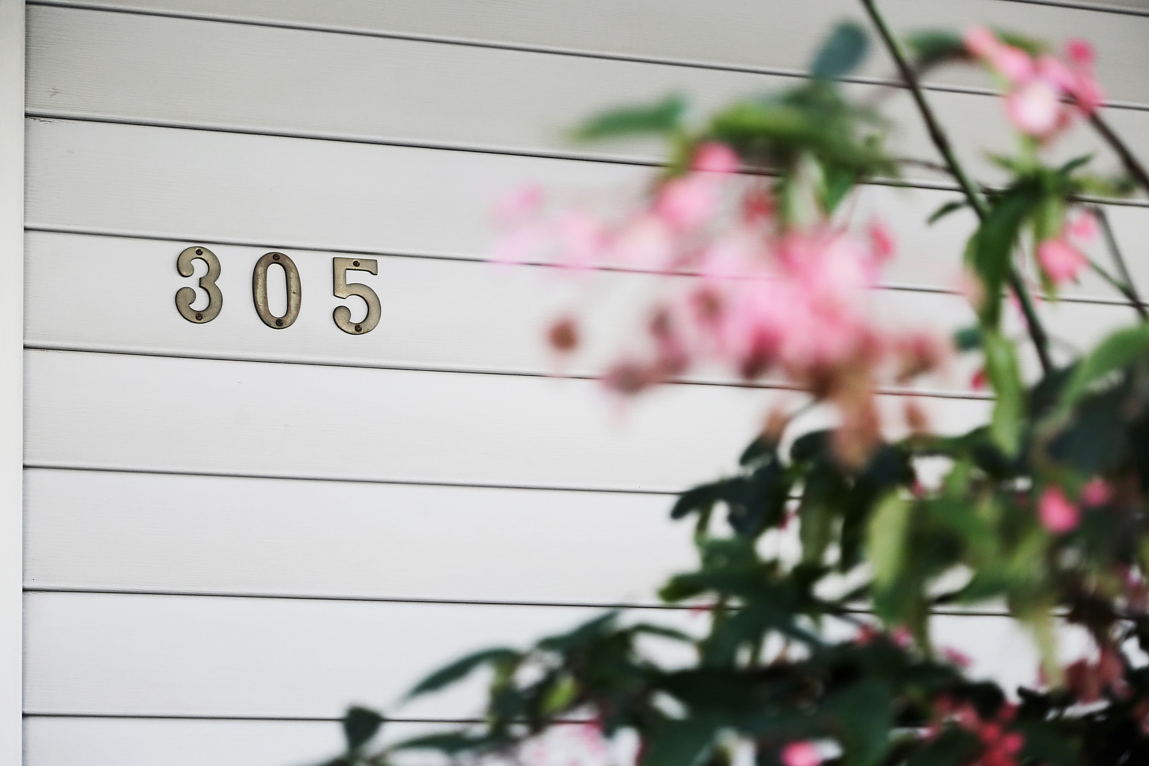 305 Victoria Road, Marrickville - Thumbnail 8