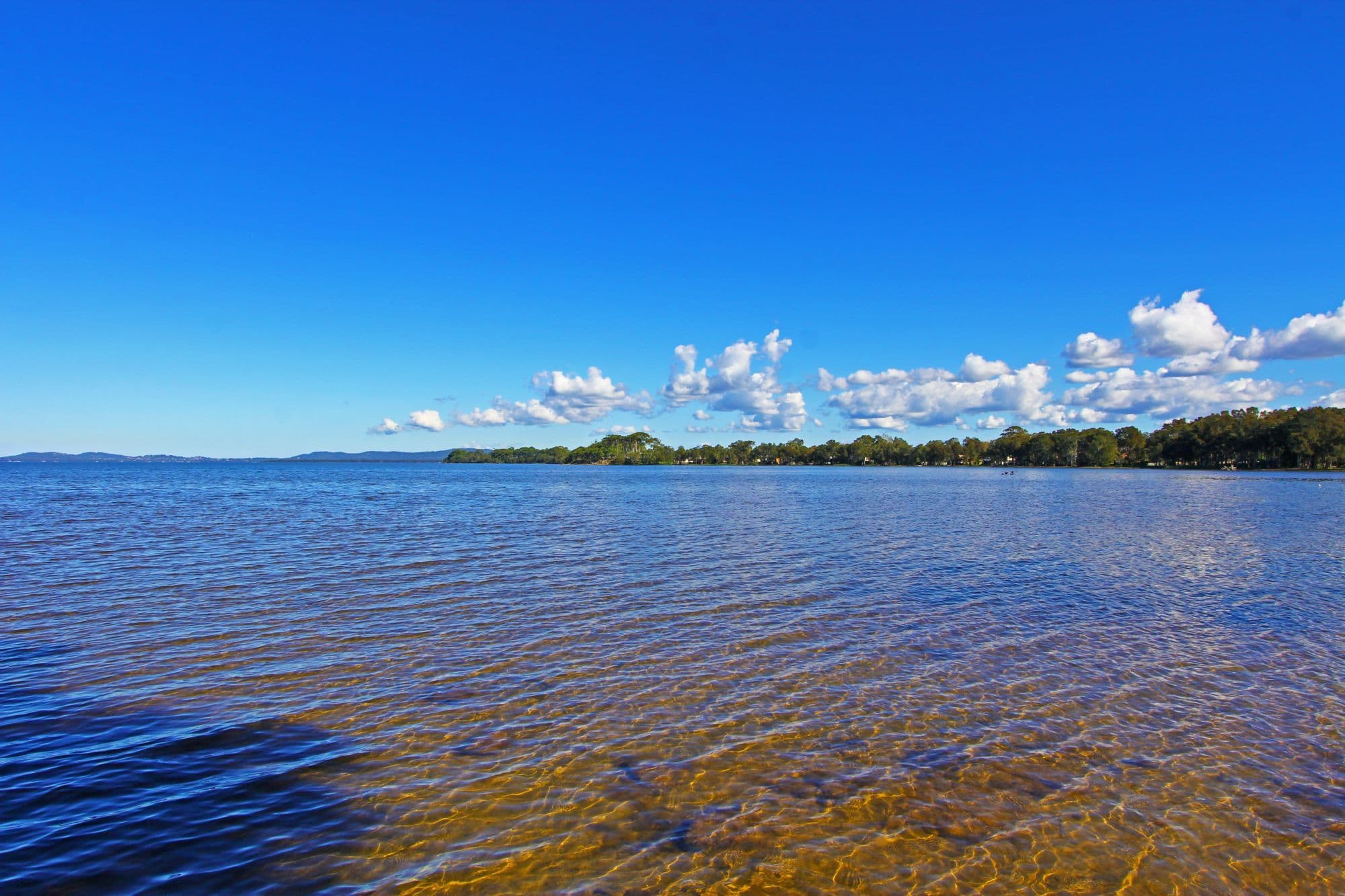 308 Tuggerawong Road, TUGGERAWONG NSW 2259, Tuggerawong - Thumbnail 2