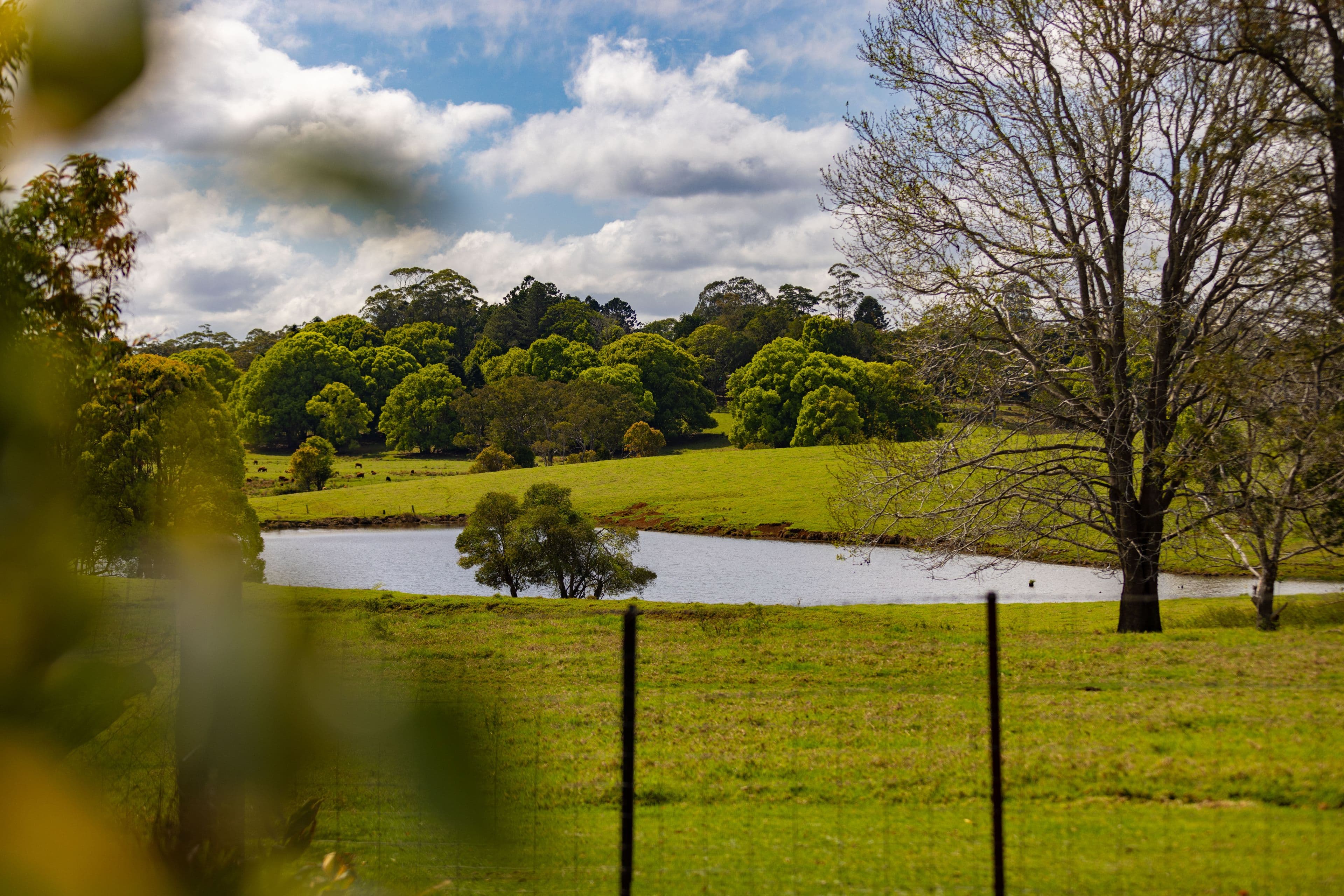 46 Berganns Road, Witta QLD 4552, Witta - Thumbnail 3