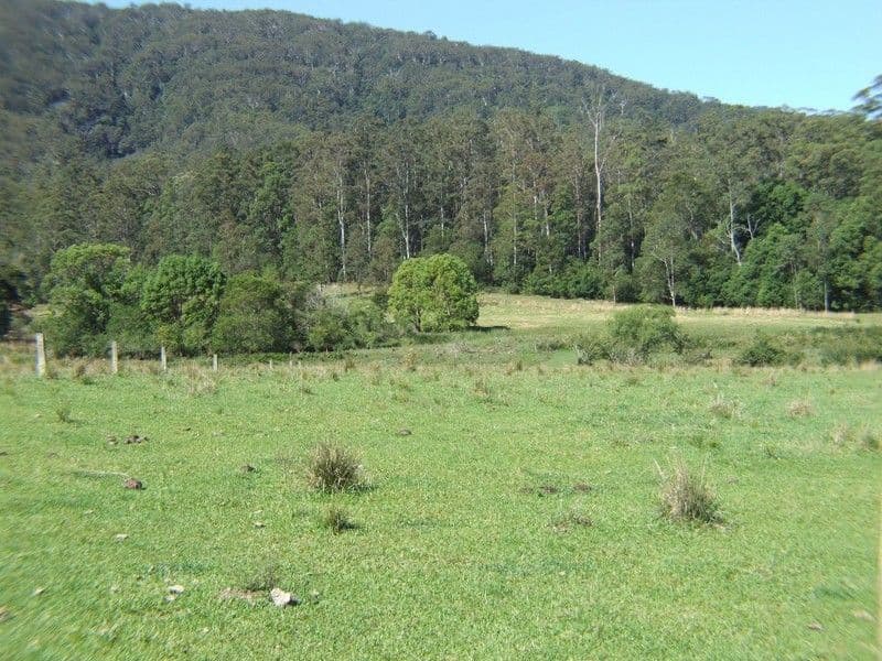 215 Randalls Road, Lower Bucca NSW 2450, Bucca - Thumbnail 4