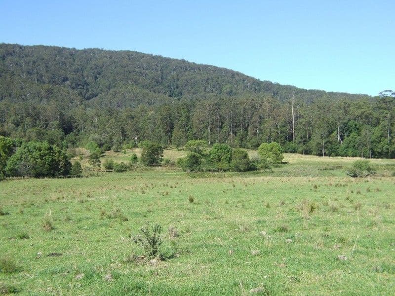 215 Randalls Road, Lower Bucca NSW 2450, Bucca - Thumbnail 5