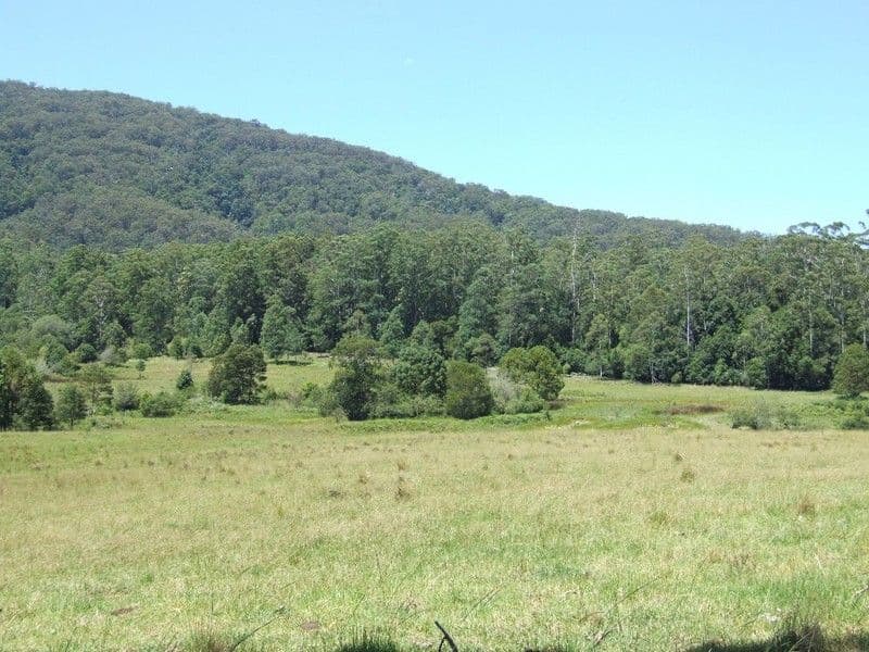 215 Randalls Road, Lower Bucca NSW 2450, Bucca - Thumbnail 6