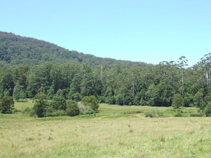 215 Randalls Road, Lower Bucca NSW 2450, Bucca - Thumbnail 7