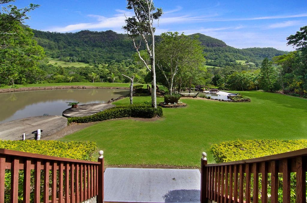 372 Petsch Creek Road, TALLEBUDGERA VALLEY QLD 4228, Tallebudgera Valley - Thumbnail 8