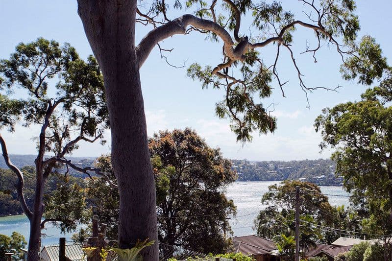 3 Kara Karook Street, MAIANBAR NSW 2230, Maianbar - Thumbnail 4