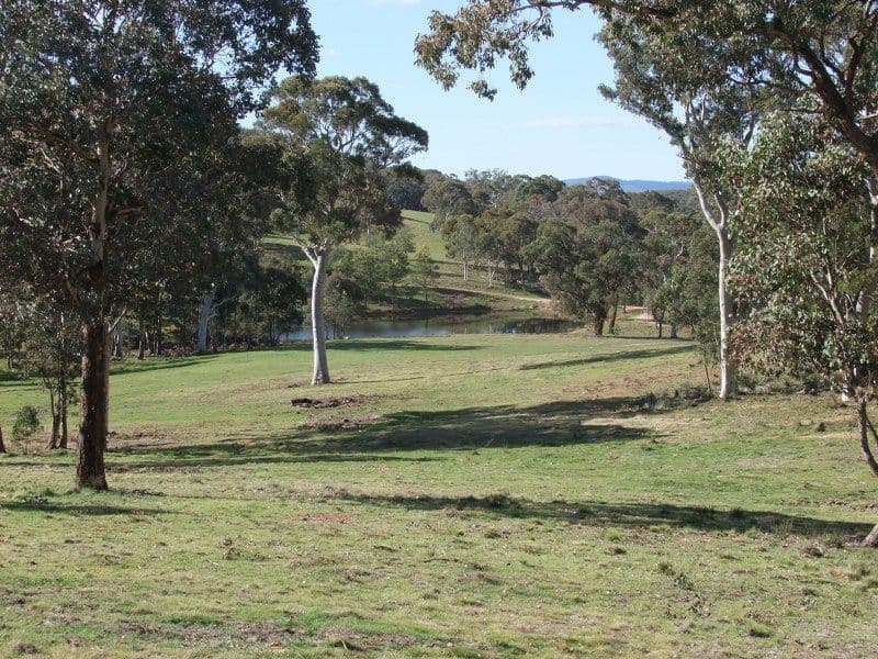0 Turondale Road, TURONDALE NSW 2795, Turondale - Image 1