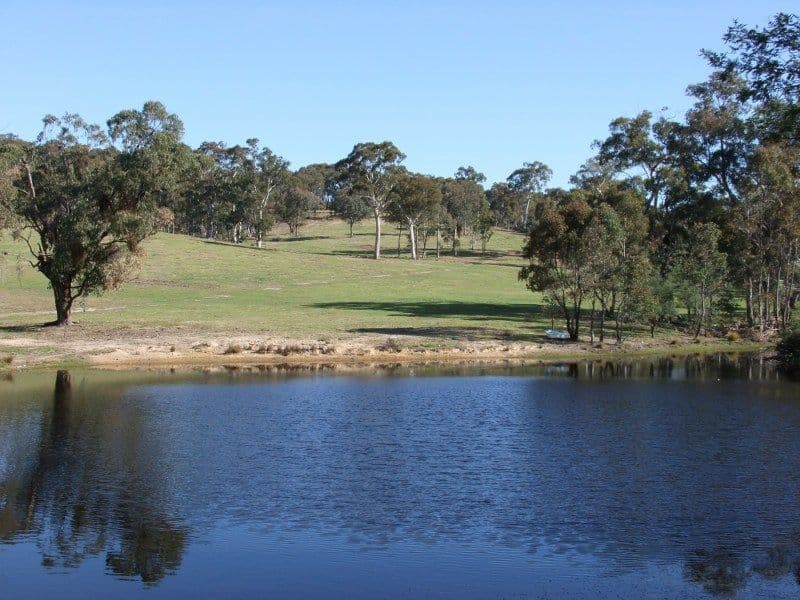 0 Turondale Road, TURONDALE NSW 2795, Turondale - Thumbnail 2