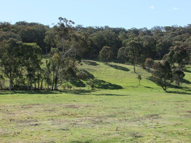 0 Turondale Road, TURONDALE NSW 2795, Turondale - Thumbnail 4