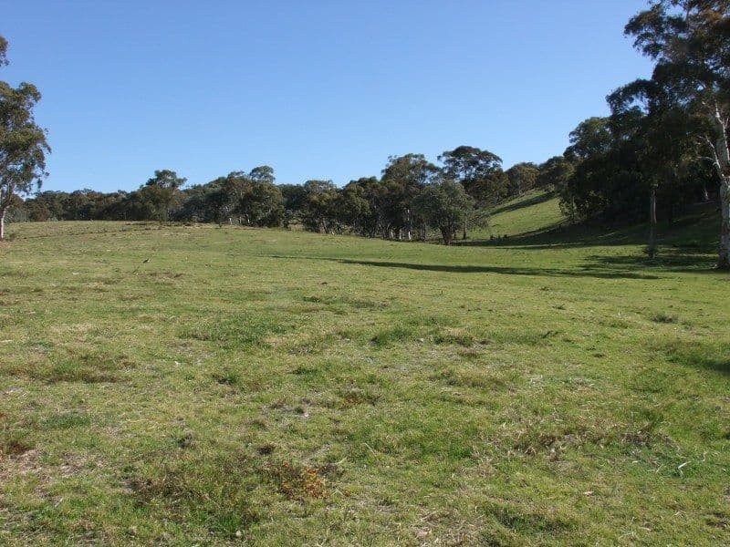 0 Turondale Road, TURONDALE NSW 2795, Turondale - Thumbnail 5