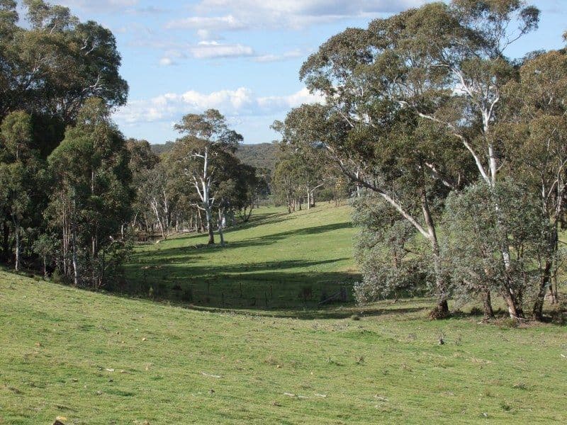 0 Turondale Road, TURONDALE NSW 2795, Turondale - Thumbnail 6