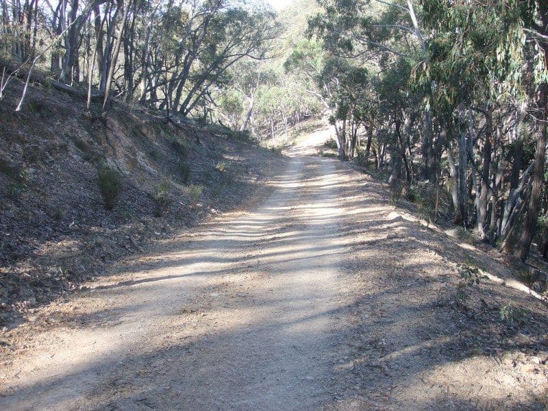 0 Turondale Road, TURONDALE NSW 2795, Turondale - Thumbnail 7