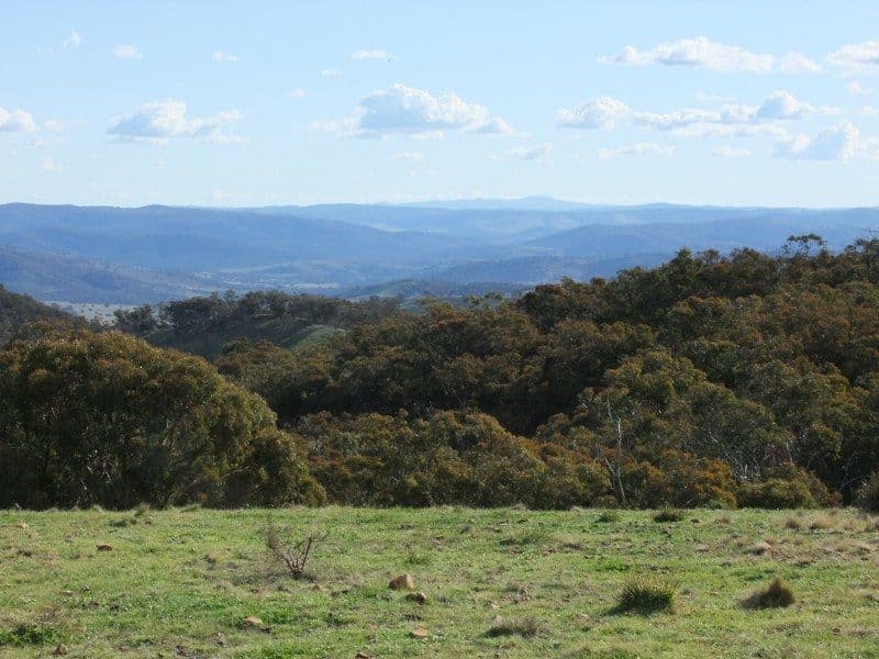 0 Turondale Road, TURONDALE NSW 2795, Turondale - Thumbnail 8