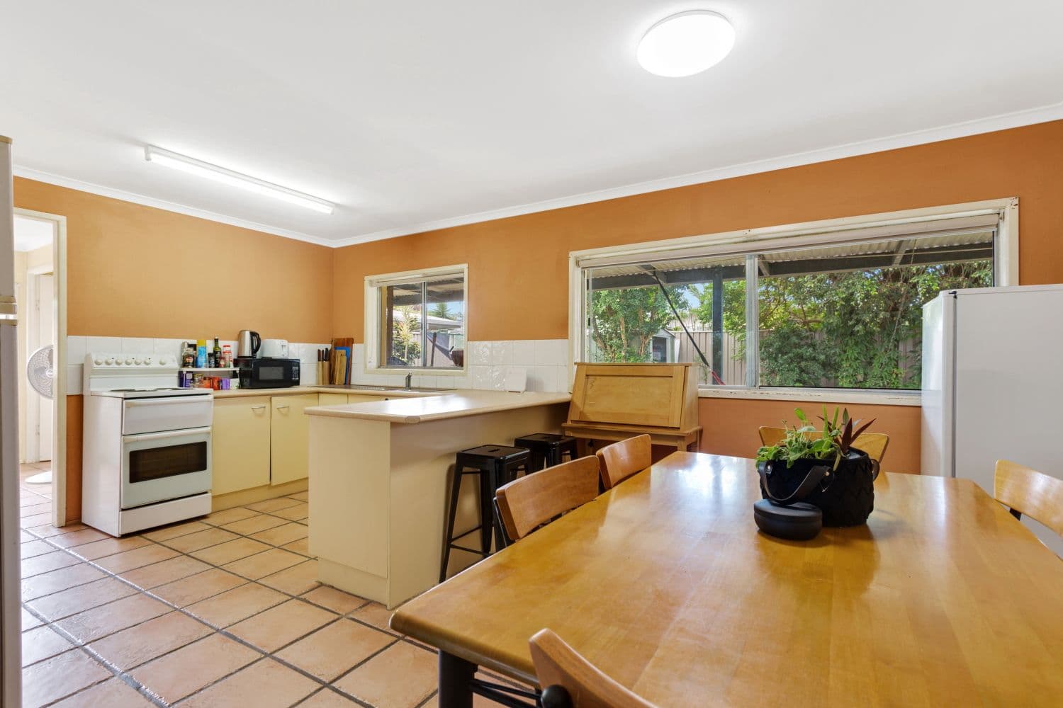 45 Oomoo Street, Buddina QLD 4575, Buddina - Thumbnail 3
