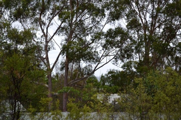 621 Satinay Villa, FRASER ISLAND QLD 4581, Fraser Island - Thumbnail 3