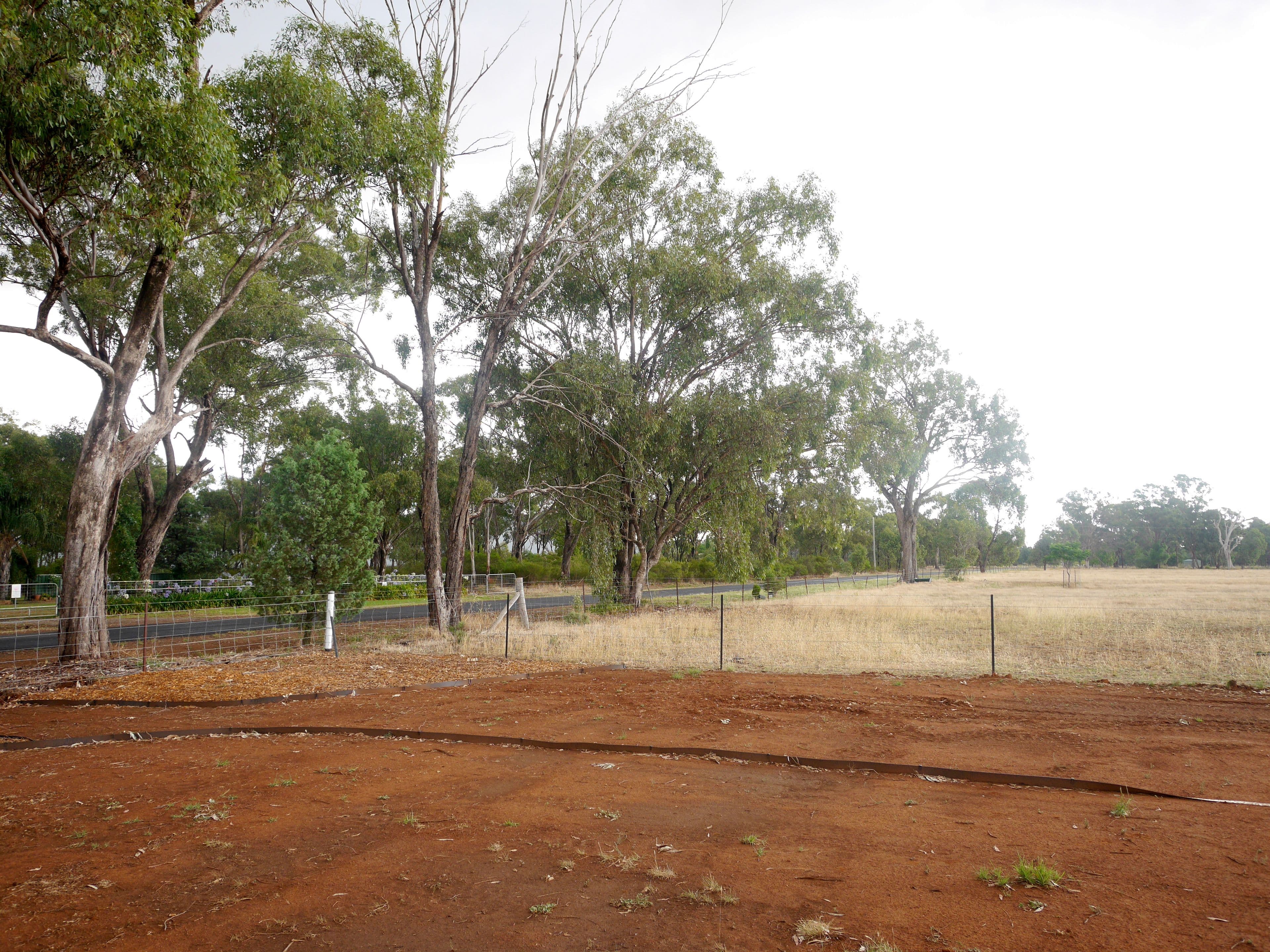 133 Noonbinna Road, Cowra - Thumbnail 5