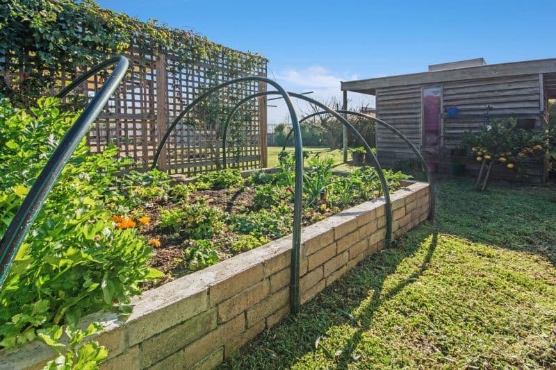 8 Joseph Street, Trevallyn TAS 7250, Trevallyn - Thumbnail 7