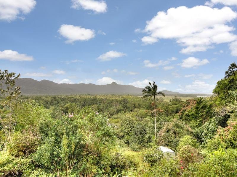 2913 Mossman-Daintree Road, Daintree QLD 4873, Lower Daintree - Thumbnail 6