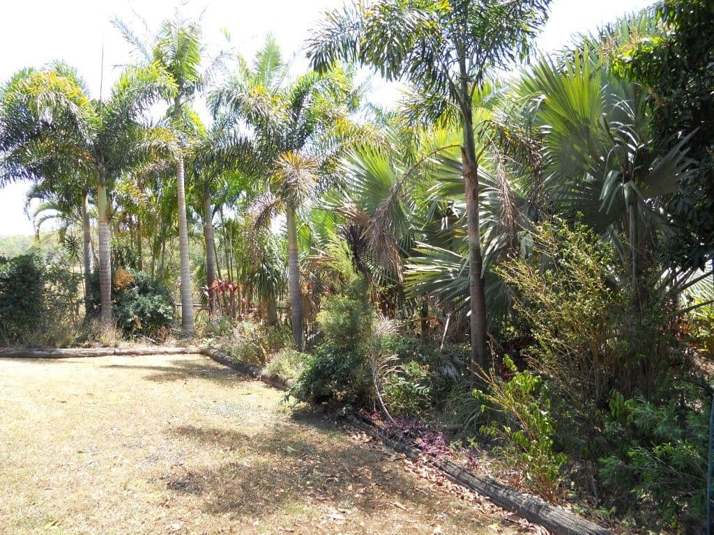 1084 Tagigan Road, WOLVI QLD 4570, Wolvi - Thumbnail 6