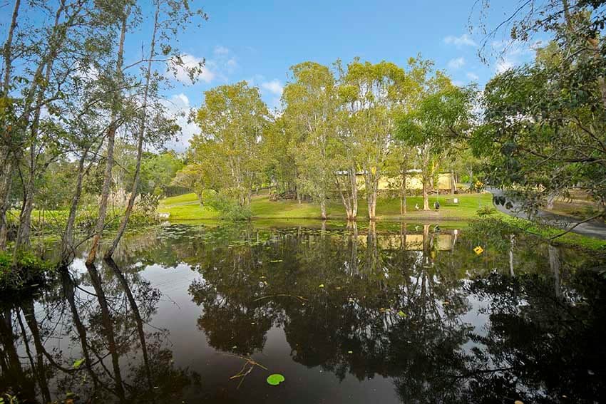 24 Keen Road, MOLENDINAR QLD 4214, Molendinar - Thumbnail 6