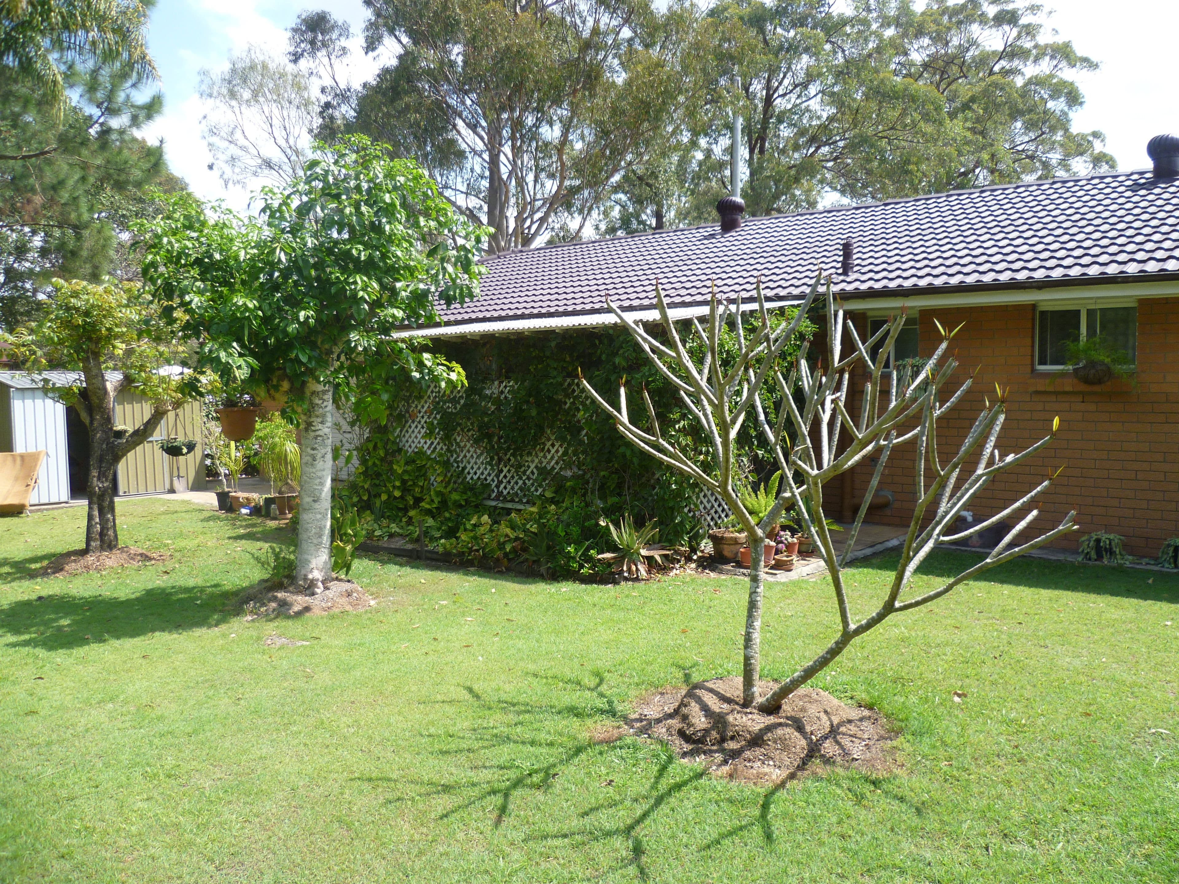 40 Tarcoola Street, Rochedale South QLD 4123, Rochedale South - Thumbnail 6
