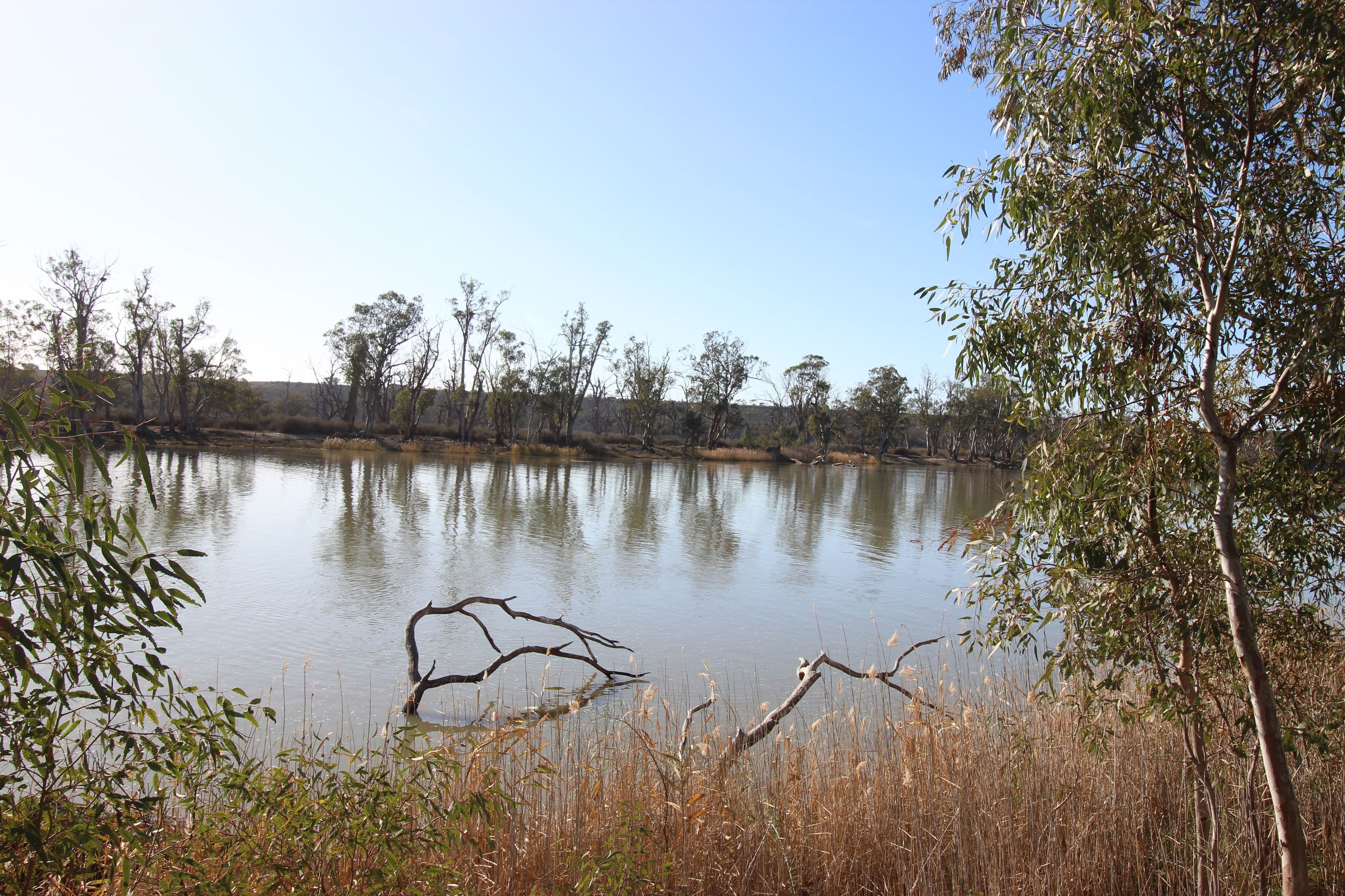 1 Dee Street, Blanchetown SA 5357, Blanchetown - Thumbnail 3