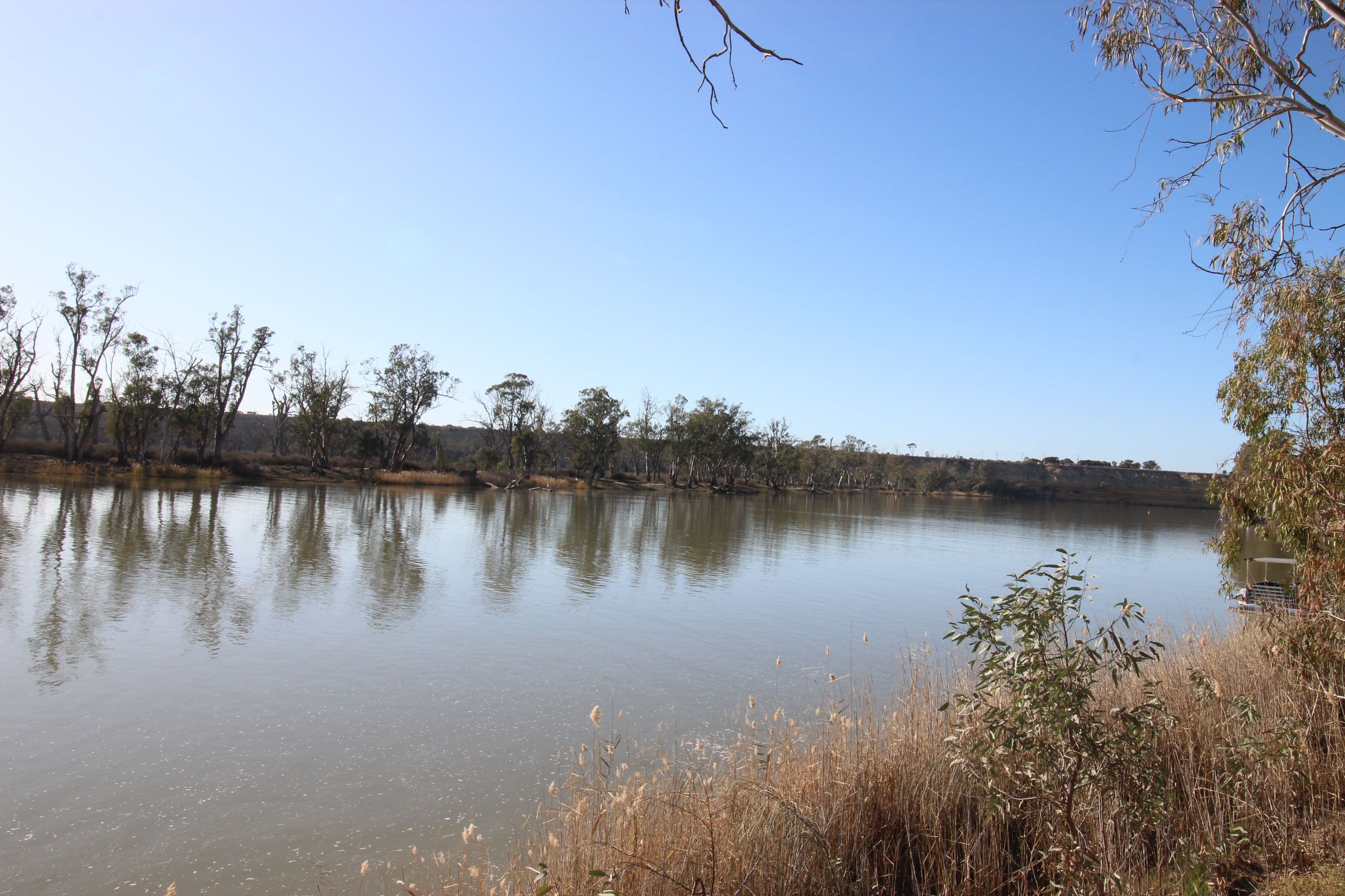 1 Dee Street, Blanchetown SA 5357, Blanchetown - Thumbnail 4