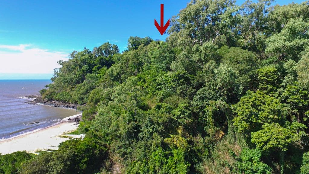 16 Dowsett Close, Yorkeys Knob QLD 4878, Yorkeys Knob - Thumbnail 5