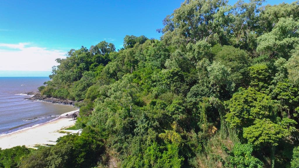 16 Dowsett Close, Yorkeys Knob QLD 4878, Yorkeys Knob - Thumbnail 6
