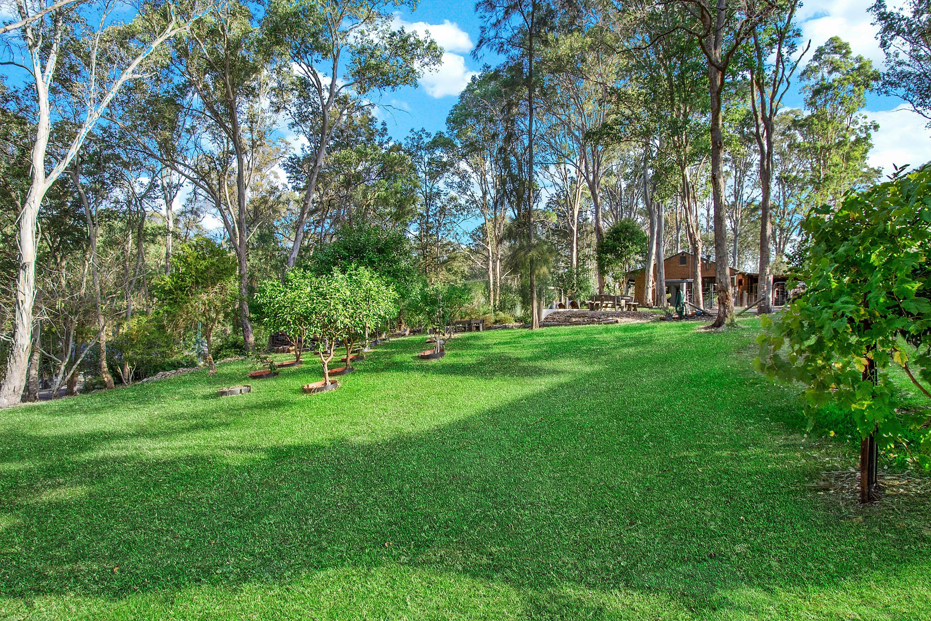 92 Wattle Crescent, Glossodia - Thumbnail 4