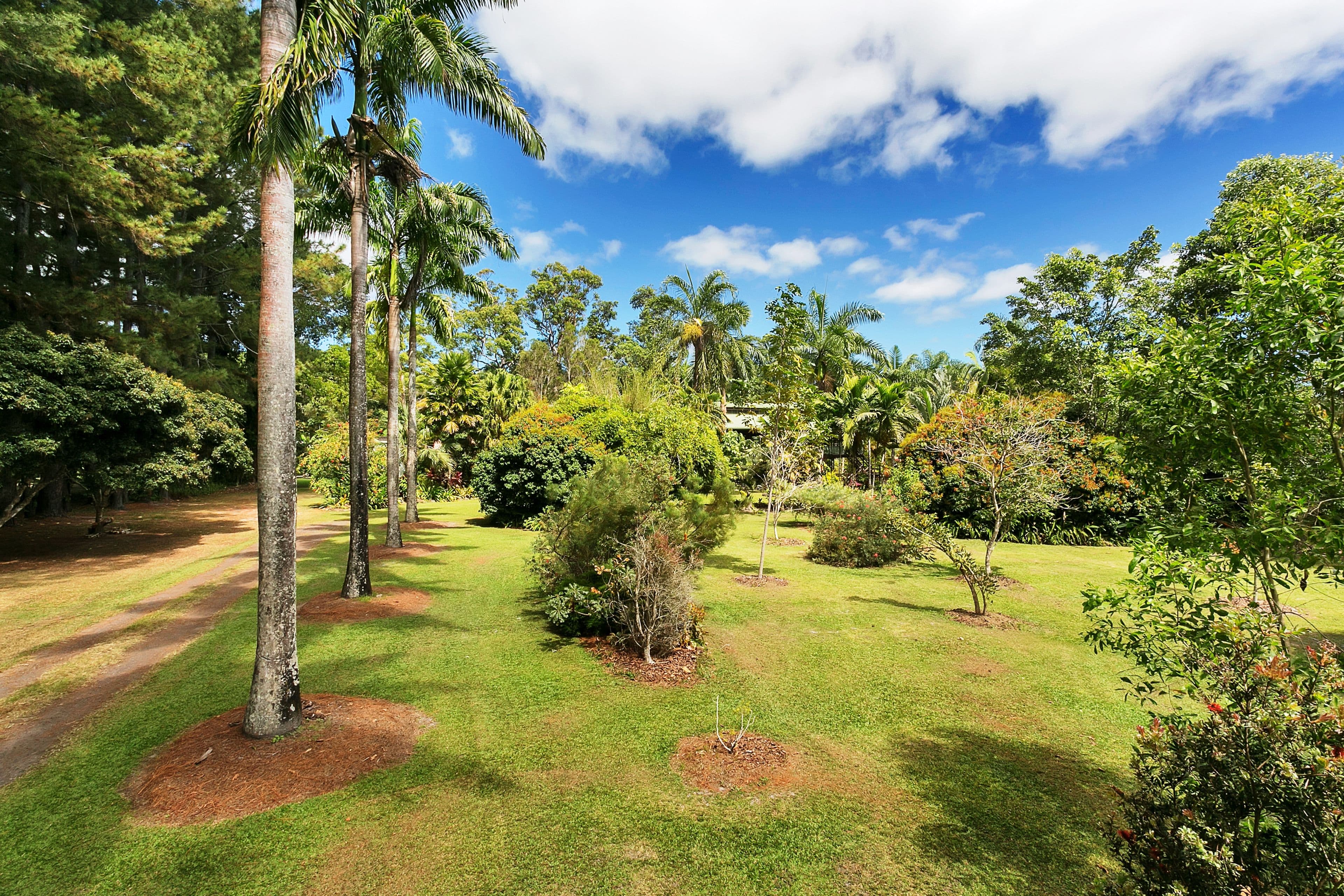 10 Fairyland Road, Kuranda QLD 4881, Kuranda - Thumbnail 2