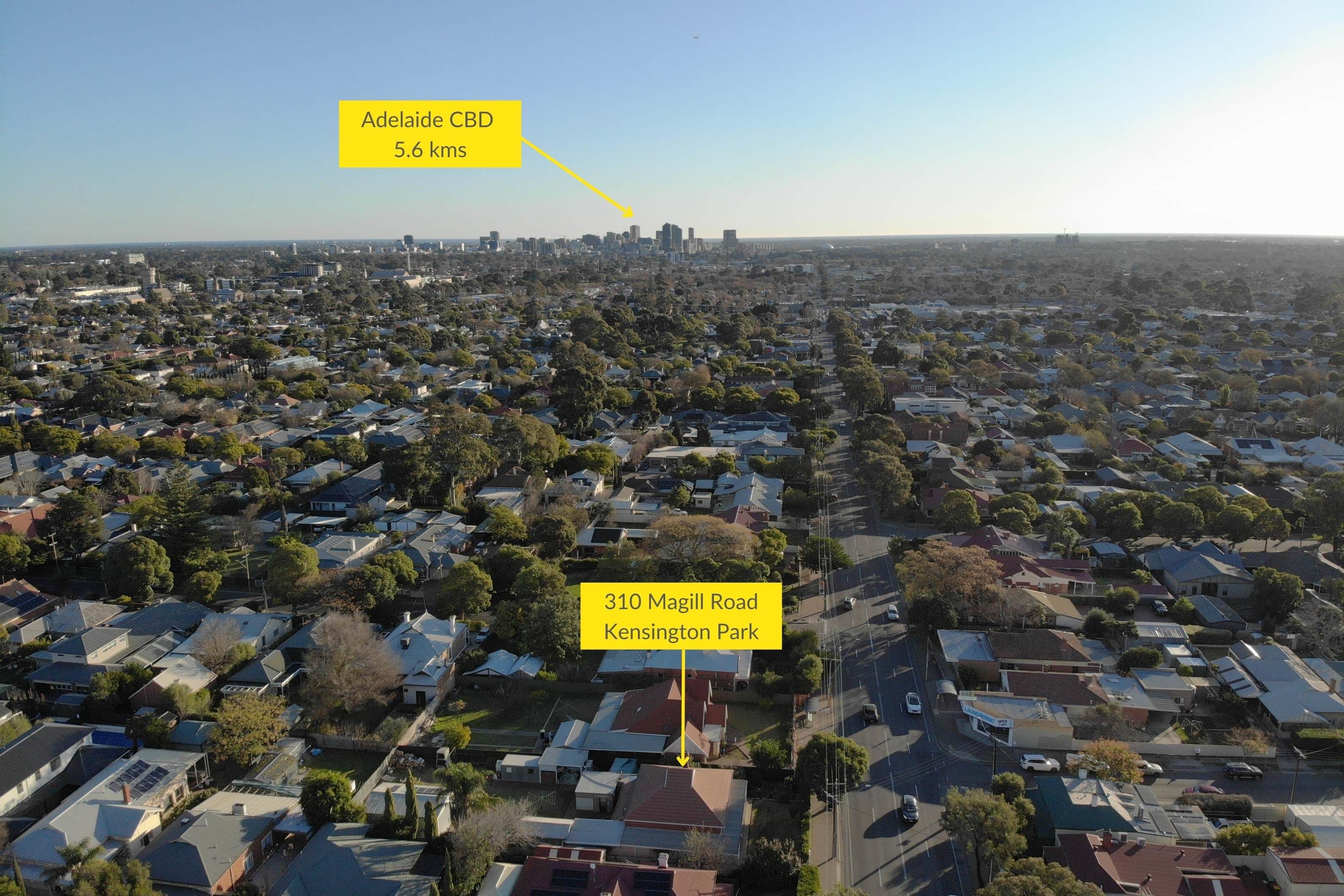 310 Magill Road, Kensington Park SA 5068, Kensington Park - Thumbnail 3