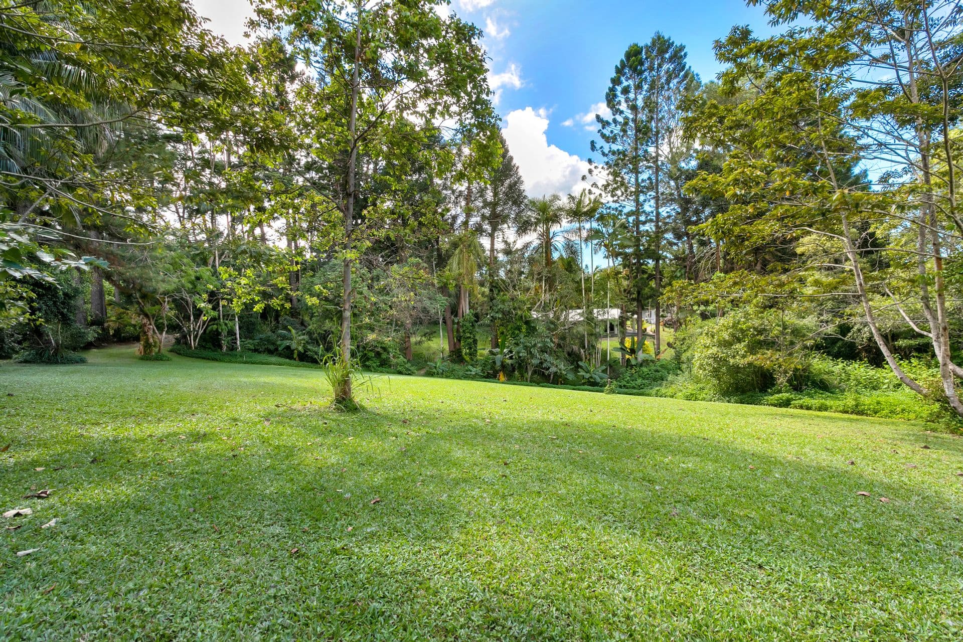 51 High Chapparal Road, Kuranda QLD 4881, Kuranda - Thumbnail 2