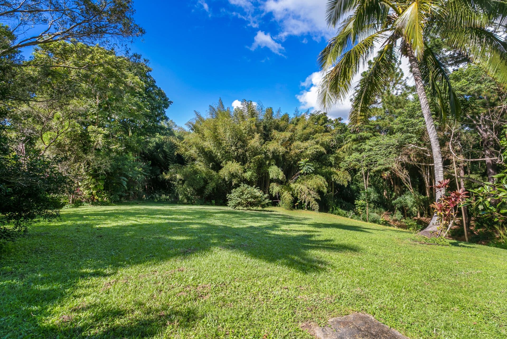 51 High Chapparal Road, Kuranda QLD 4881, Kuranda - Thumbnail 4