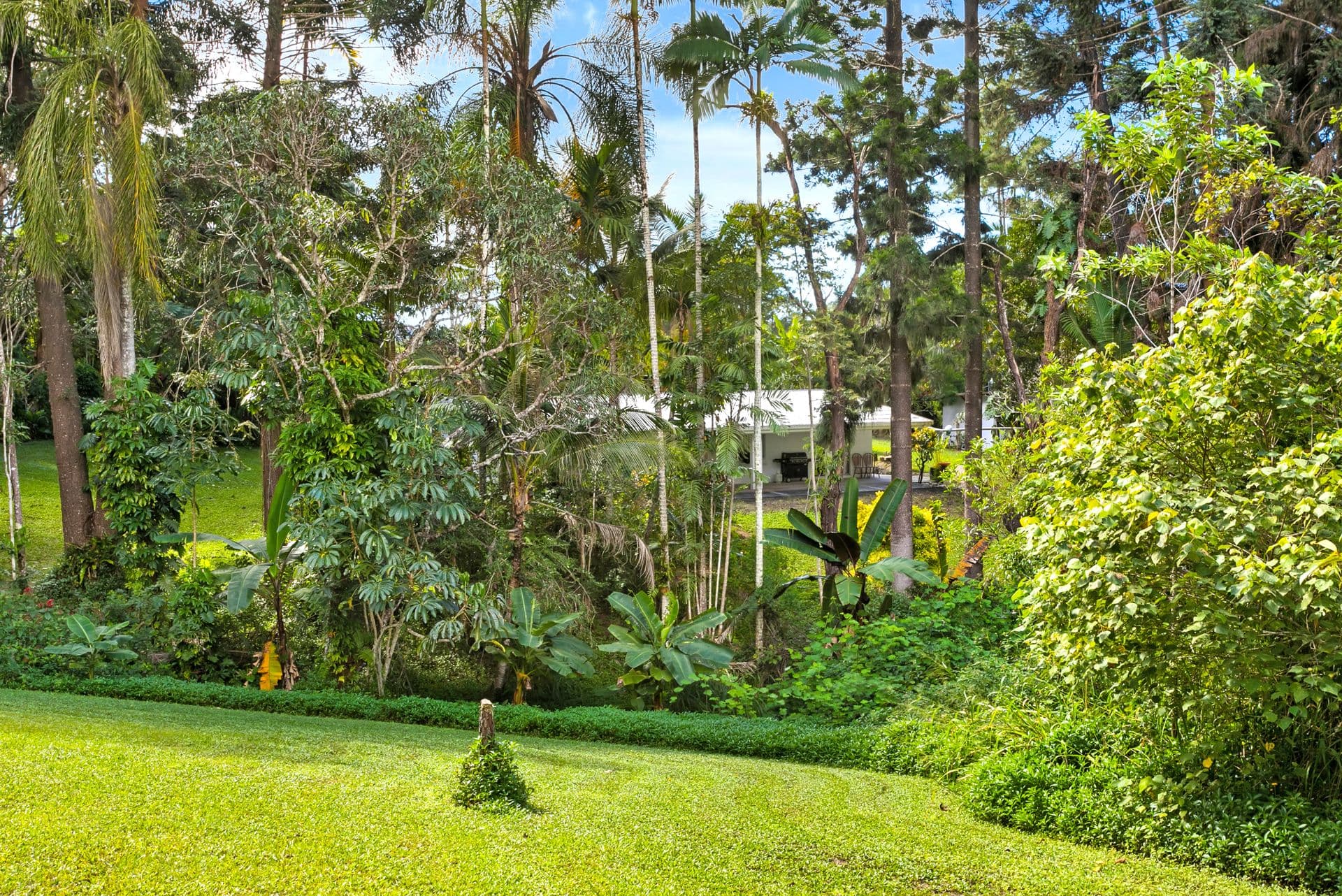 51 High Chapparal Road, Kuranda QLD 4881, Kuranda - Thumbnail 5