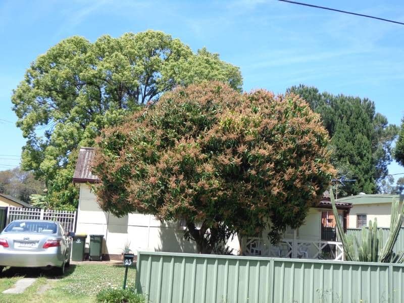 23 Bell Crescent, FAIRFIELD NSW 2165, Fairfield - Image 1