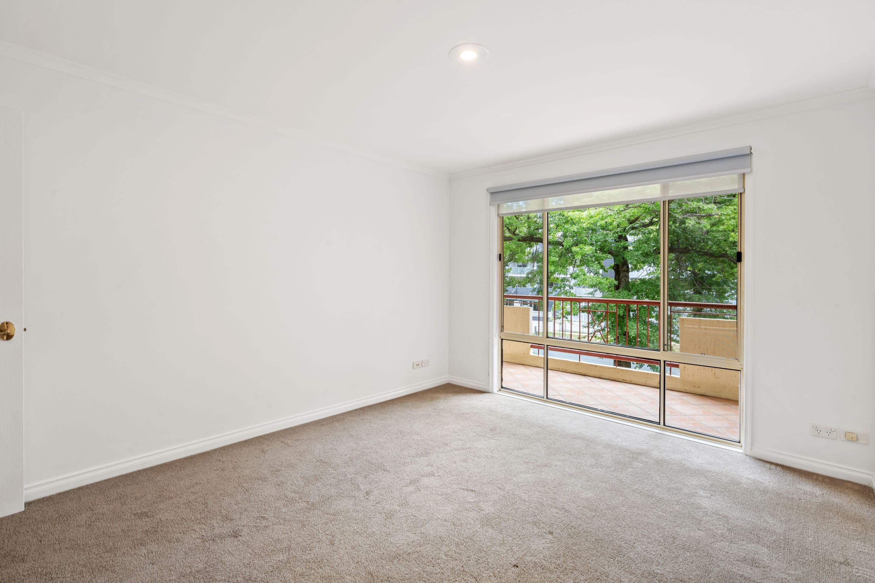 38 Torrens Street, Braddon ACT 2612, Braddon - Thumbnail 8