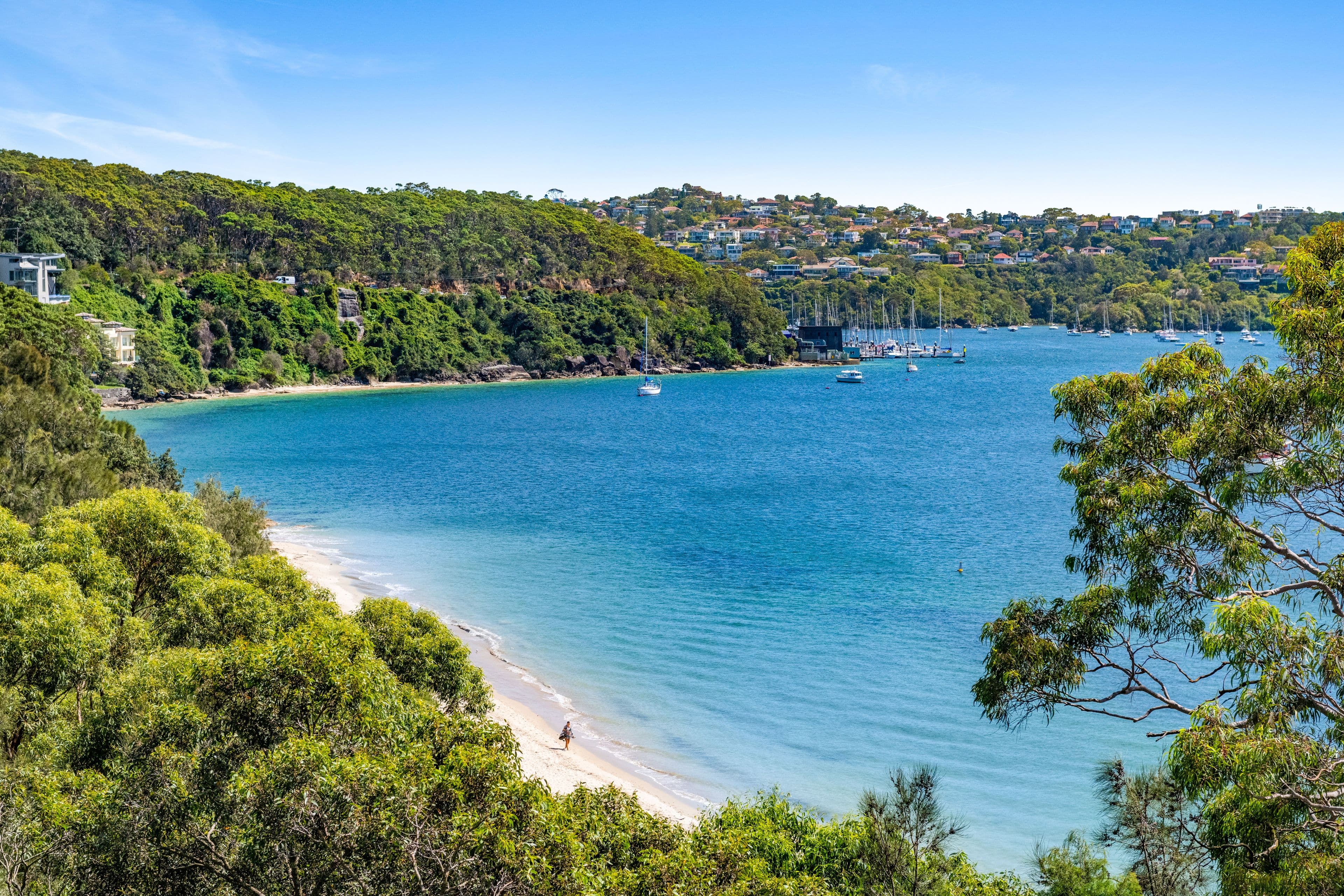 36 Hopetoun Avenue, Mosman NSW 2088, Mosman - Thumbnail 3
