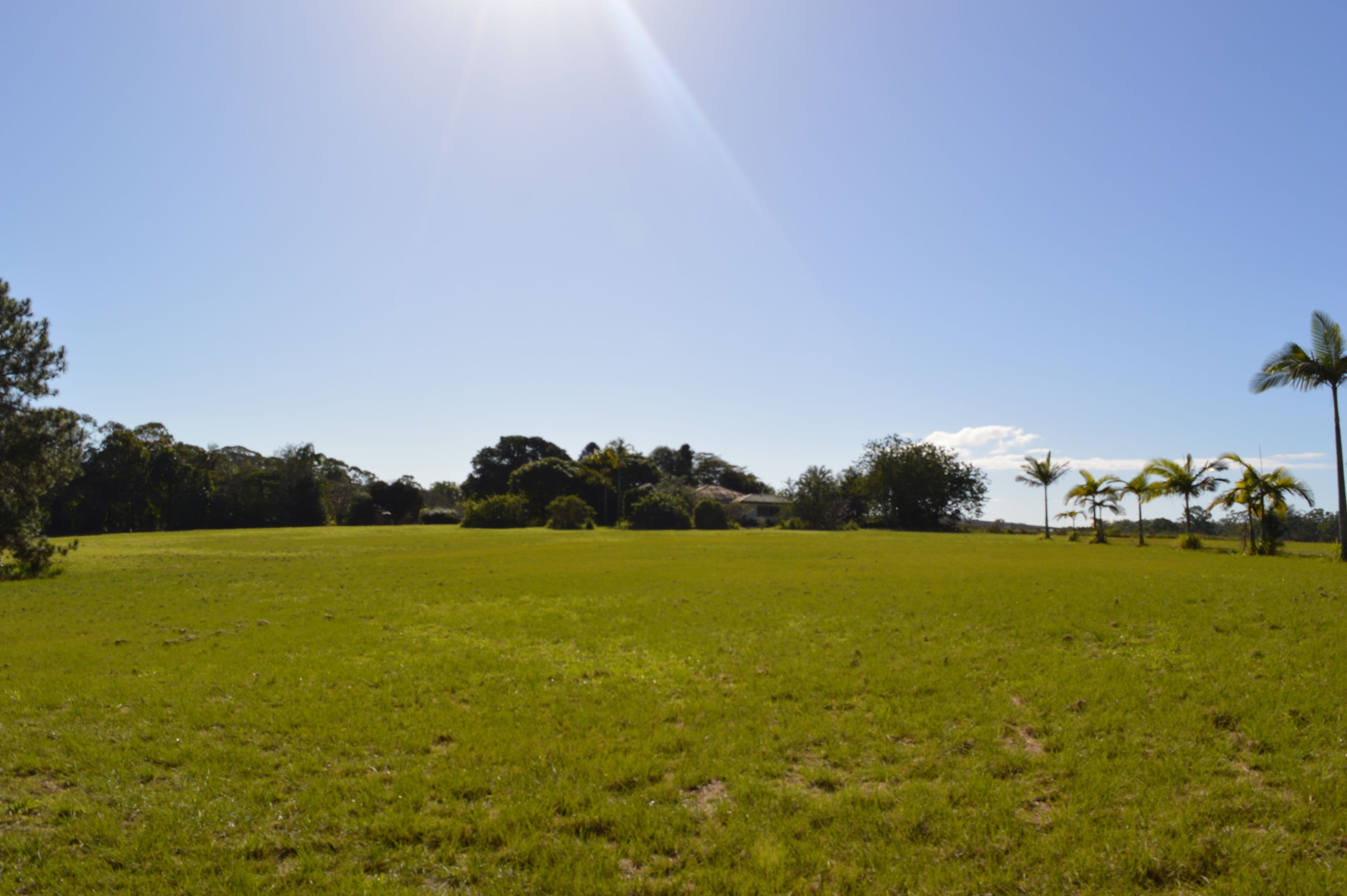 1120 Steve Irwin Way, Glass House Mountains QLD 4518, Glass House Mountains - Thumbnail 2