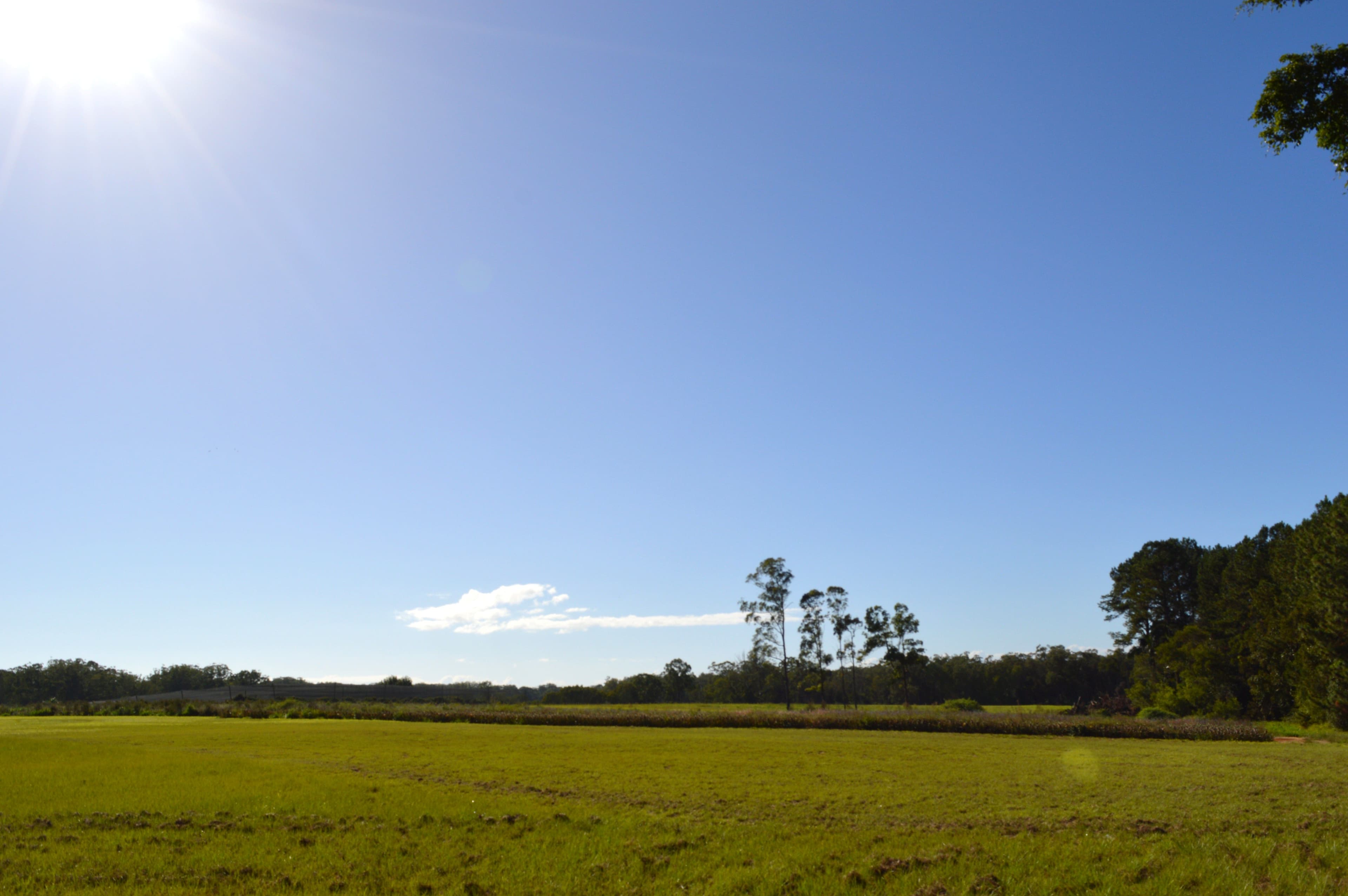 1120 Steve Irwin Way, Glass House Mountains QLD 4518, Glass House Mountains - Thumbnail 4