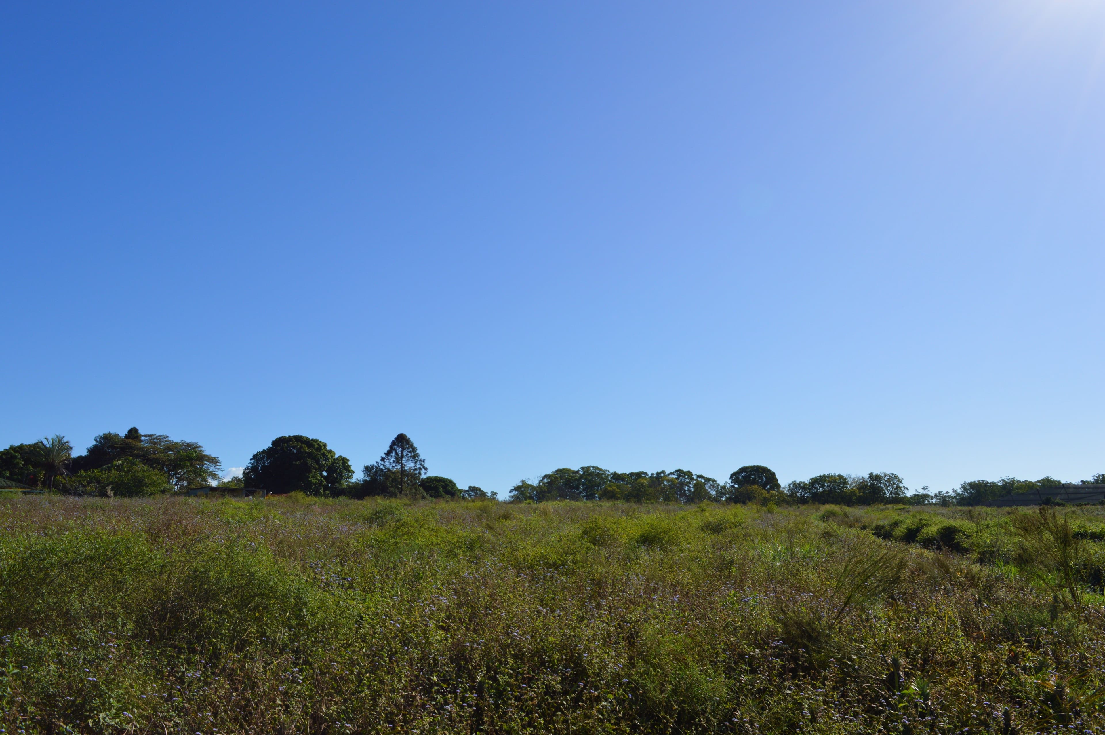1120 Steve Irwin Way, Glass House Mountains QLD 4518, Glass House Mountains - Thumbnail 8