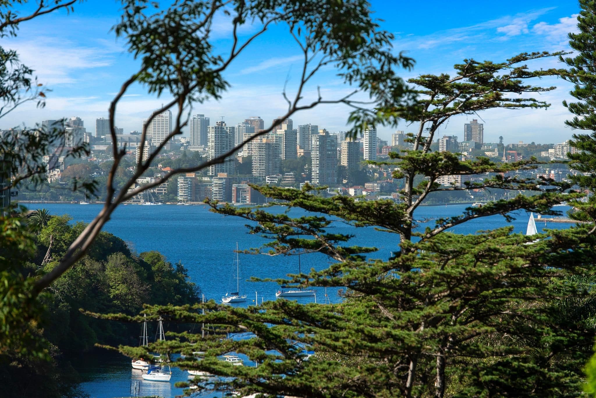 33 Bogota Avenue, Neutral Bay NSW 2089, Neutral Bay - Thumbnail 4